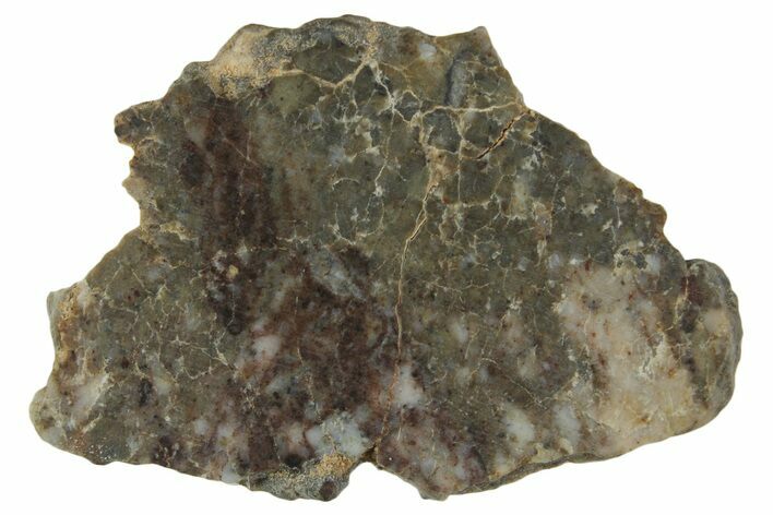 Lunar Meteorite ( g) Slice - Laayoune #360211